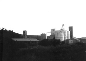 Grain silos, circa 1973 Photo: Molly Martin