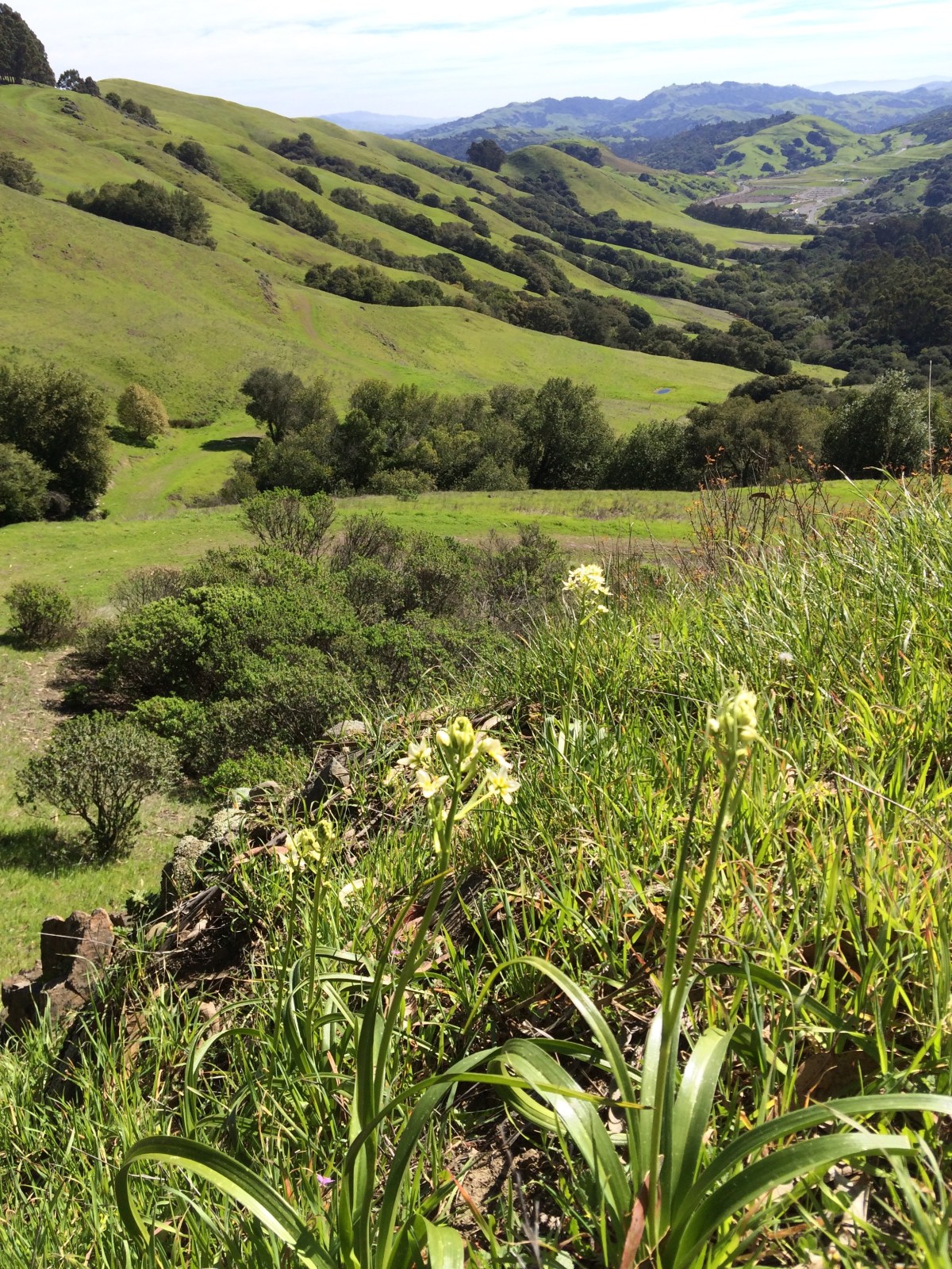 Hiking the EBMUD&nbsp;Watershed