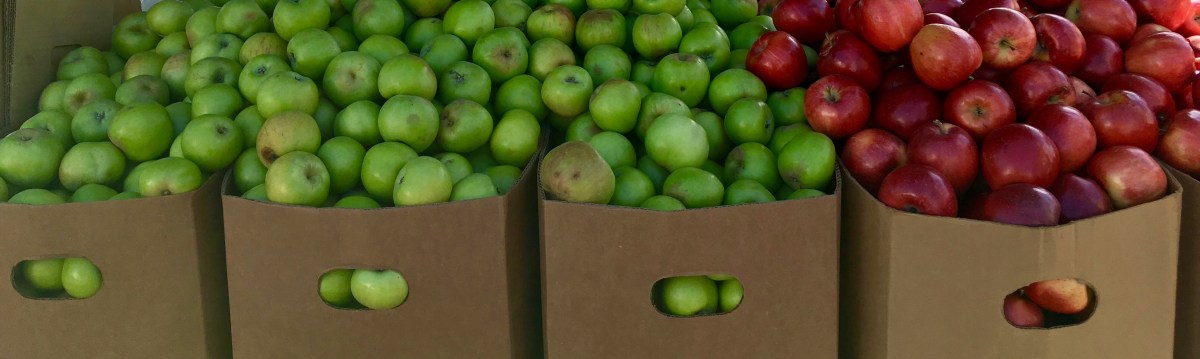 Celebrating Lughnasa in&nbsp;NoCa