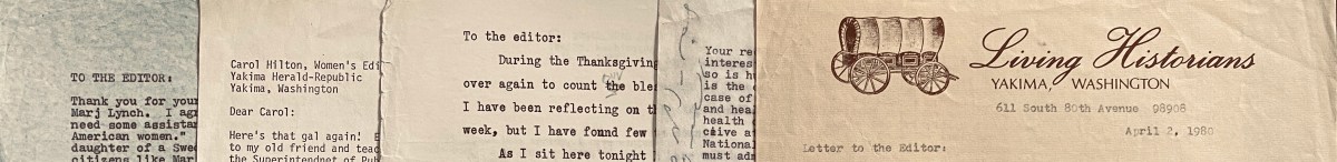 Defending the “Young&nbsp;Punks”