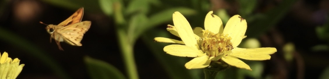 Contemplating Death and&nbsp;Happiness