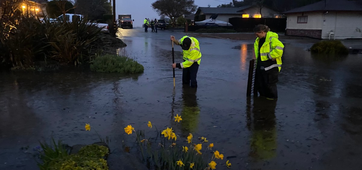 We Survive Another&nbsp;Disaster